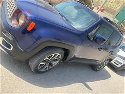 جيب رينيجيد